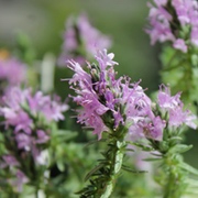 Mittelmeer Mittelmeer